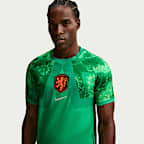 Netherlands 2026 Stadium Goalkeeper Men's Nike Dri-FIT Soccer